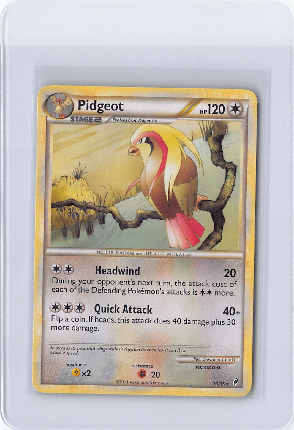 Pidgeot 30/95 Call of Legends Regular Pokemon Card Moderately Played MP