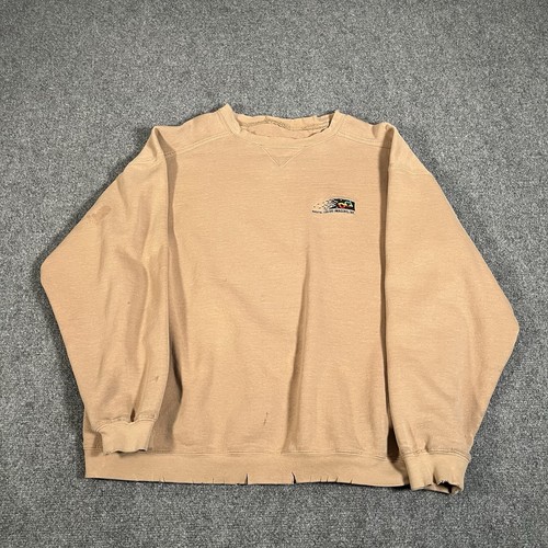 Vintage Digital Color Imaging Inc Sweatshirt Men’s Size Xl Y2K Thrashed Faded