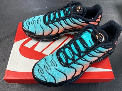Nike Air Max Plus 'South Beach' Shoes (PD7016564)