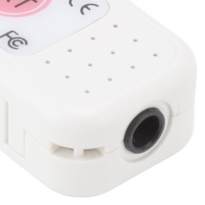 USB-Computer-Temperatursensor Datenlogger Temperaturalarm Für Die Überwachung