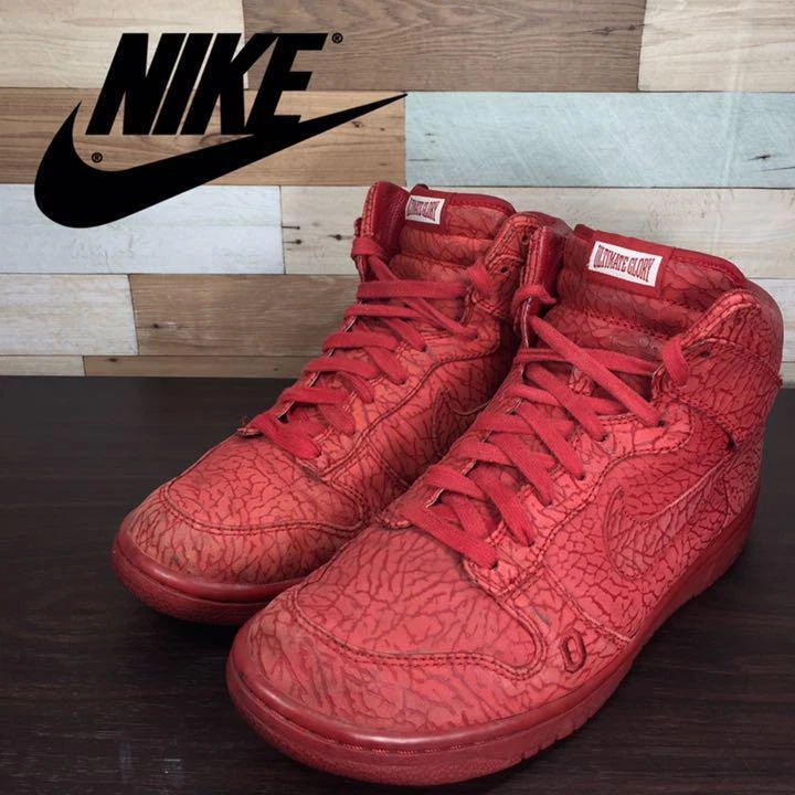 NIKE DUNK HI PREMIUM 27.5cm