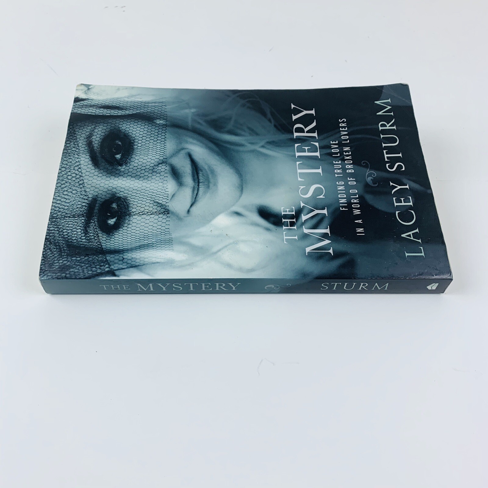 The Mystery Finding The True Love In A World Of Broken Lovers By Lacey Sturm 2016 Paperback - 