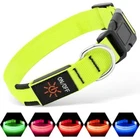 Illumifun LED Dog Collar, USB Rechargeable Light Up  Assorted Sizes , Colors