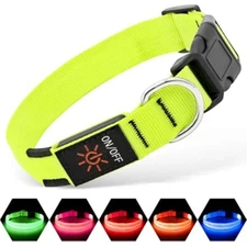 Illumifun LED Dog Collar, USB Rechargeable Light Up  Assorted Sizes , Colors 