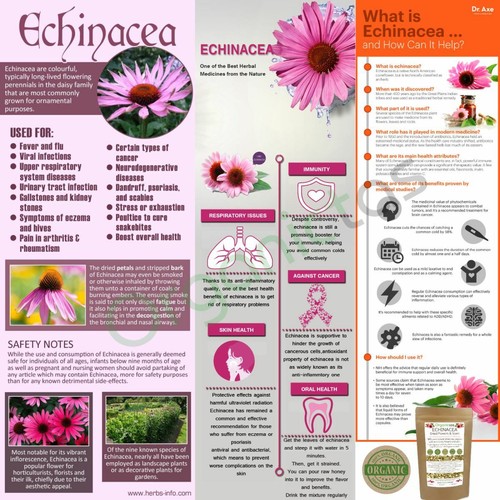 Organic ECHINACEA PURPUREA Herbal Tea 100g Immune System Antioxidant Cold & Flu - Picture 2 of 12