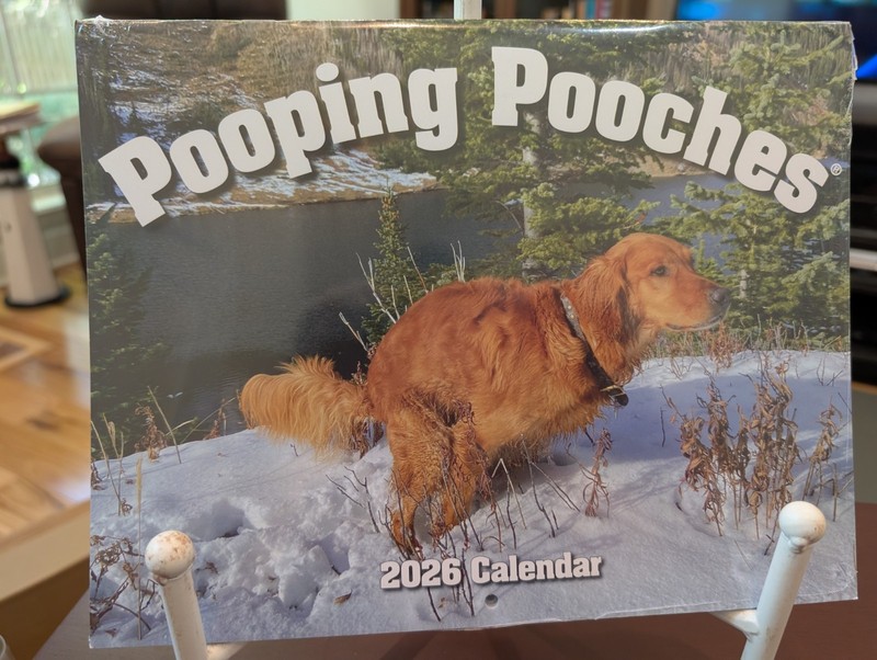Dogs Pooping Calendar 2026 Pooches Funny White Elephant Gift