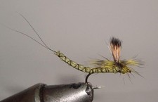 C/A Flies Extended Body Green Drake #12 Fly 12 Pack