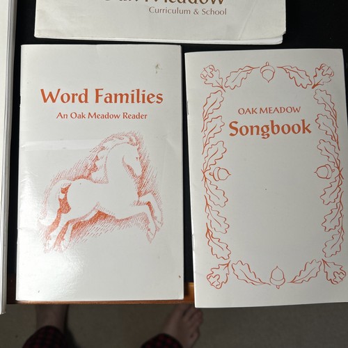 OAK MEADOW 1st Grade Bundle, 5 Books - Syllabus, Fairy Tales, Recoreder & More - Picture 4 of 5