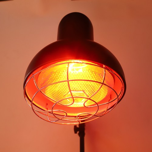 Desktop Infrared Therapy Lamp Joint Muscle Pain Relief Home Infrared Heat La DGD - Picture 12 of 22