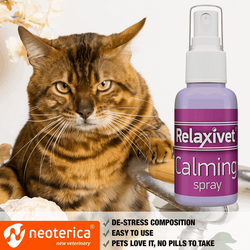 Calming Pheromone Spray Scratch Repellent for Cats Reduce Stress During Travel - Picture 4 of 7