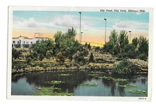 Vintage Postcard Lily Pond City Park Alliance, Nebraska PM 1956 CT American Art