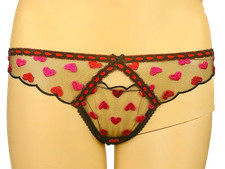 VICTORIAS SECRET DREAM ANGELS EMBROIDERED MESH V-STRING THONG PANTY XS S M L XL