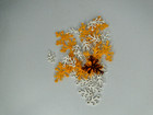 LEGO Loose & Sealed Bags of Leaves Part # 2417 & 2423 Bright Light Orange More — photo 7