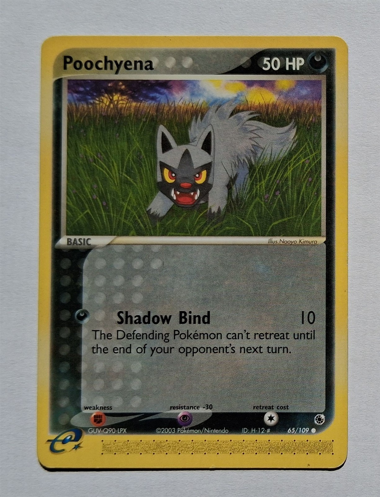 Pokemon - Poochyena - Ruby & Sapphire 65/109 - Common - MP