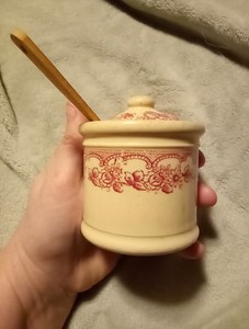 Vintage San Tan Wellsville China Condiment Container Rare