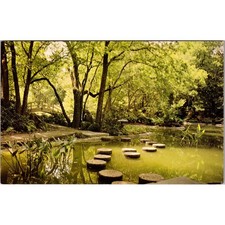 Fort Worth Japanese Garden Botanic Garden Fort Worth TX Vintage Postcard SPL23