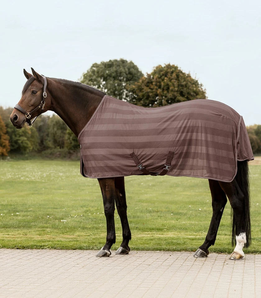 WALDHAUSEN GMBH & CO. KG Waldhausen Fliegendecke Economic mocca mit Kreuzgurten