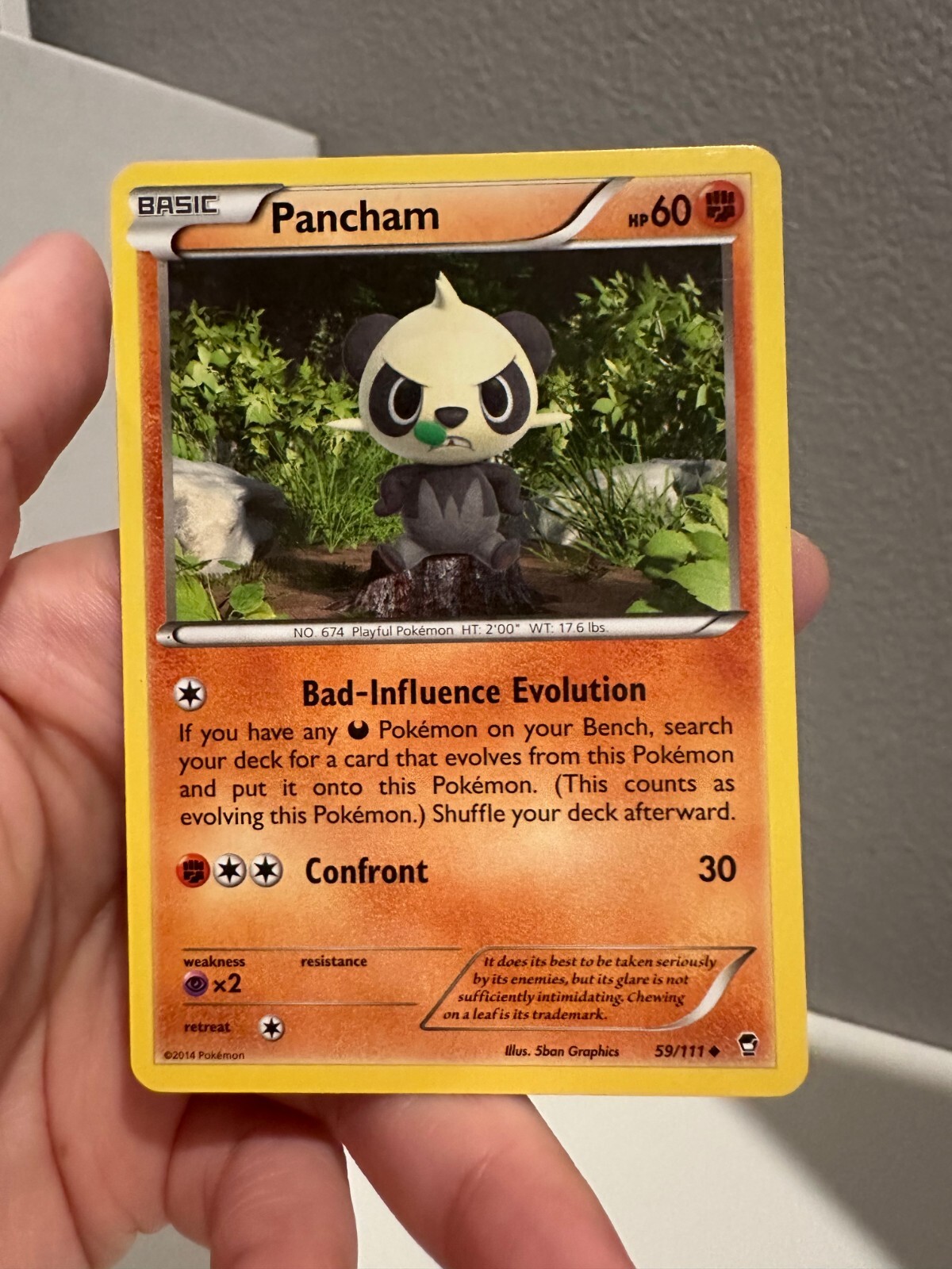 Pancham 59/111 - Furious Fists - Uncommon - Pokemon Card TCG - NM 1218#169