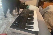 KORG TRITON Taktile 49 Keyboard Synthesizer TRTK-49 Working - Slightly Used