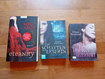 3x New Adult spicy Romantasy Paket Eternity Vom Dämon gezeichnet Silberne Glut