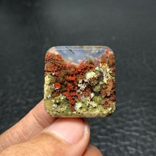 Scenic Moss Agate Cabochon 25x25x5mm High Quality 33 ct