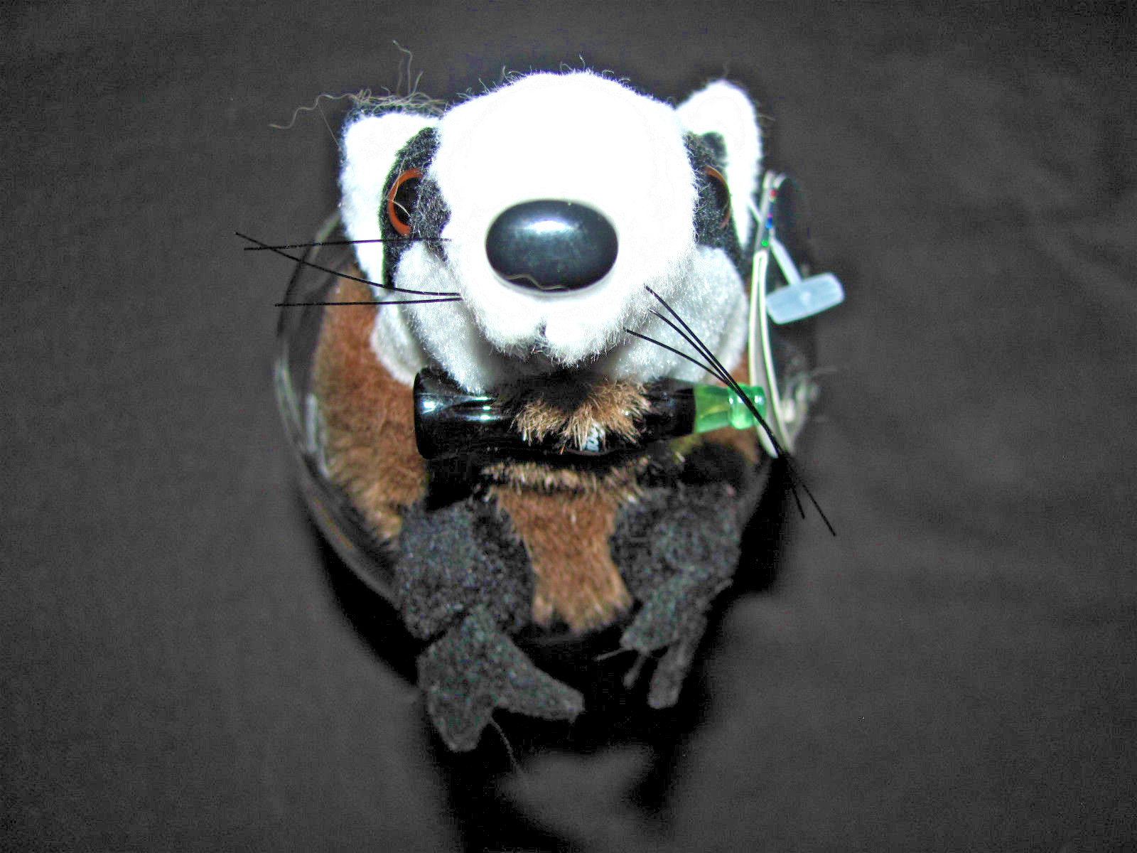 Picture 3 of 12