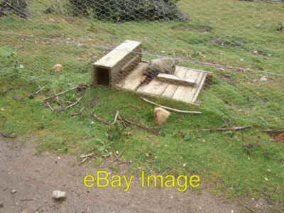Foto 6x4 Noch eine Hasenfalle Dunandhu der selbstgebauten Holzsorte. C c2008