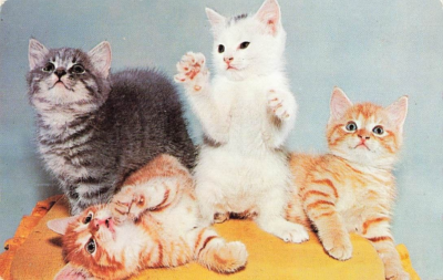 Postcard Tabby Cats Kittens Orange Gray Playful Quartette