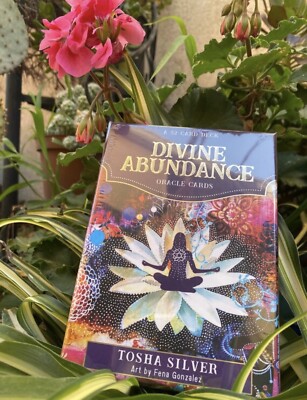 Divine Abundance/Oracle Deck cards by Tosha Silver & Fena Gonzales ...