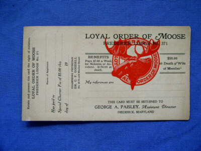 Early 1900`s Loyal Order of Moose Frederick Md Lodge No 371 Application Card