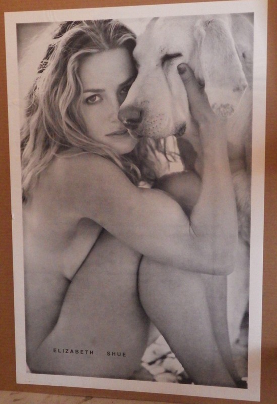Elizabeth Shue Naked With Yellow Lab Dog Elisabeth 23x35" Pinup Las Vegas Poster