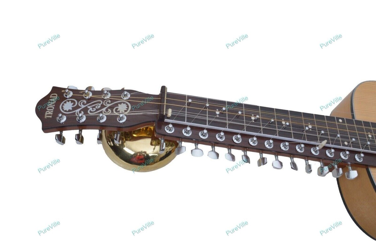 NEW CHATURANGUI MOHAN VEENA INDIAN RESONATING SLIDE GUITAR in