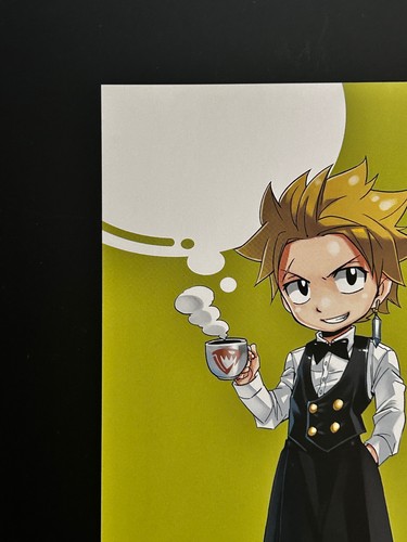 Tarjeta grande Sting Eucliffe Fairy Tail colección japonesa Hiro Mashima Limited - Imagen 3 de 11