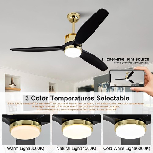 Chic 52-Inch Black Gold Ceiling Fan with Light - Quiet DC Motor & Memory Control - Picture 6 of 11