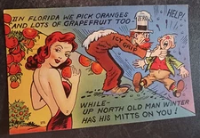 1953 postcard In Florida we pick oranges pinup girl Old man winter mitts Tichnor