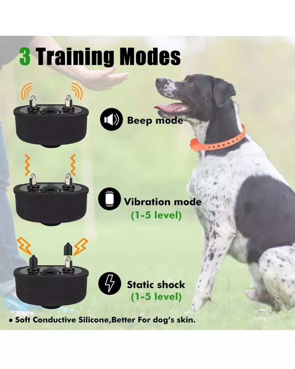 Shock collar for a small dog sale