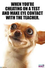 What Do You Meme - Eye Contact Poster