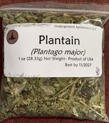 Plantain - Hand Harvested - 1 oz.  (Plantago major) - Underground Apothecary