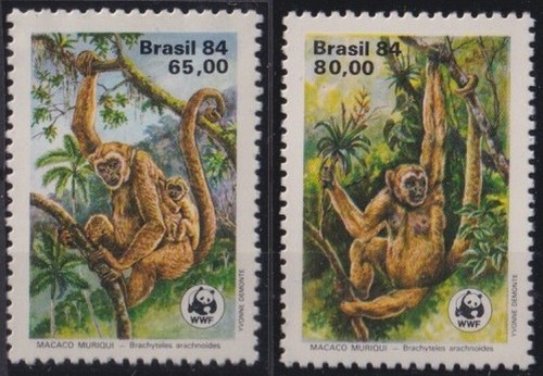 F-EX28432 BRAZIL BRASIL MNH 1984 WILDLIFE WWF MONKEY MONOS. - 第 1/1 張圖片