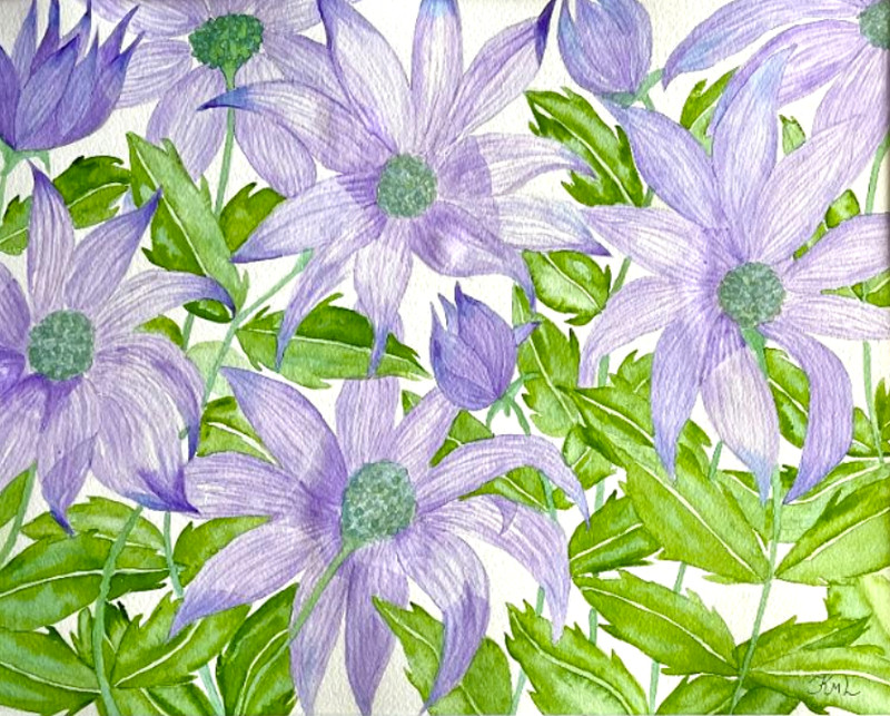 PAINTING WATERCOLOR ART FLOWER CONEFLOWER PURPLE LAVENDER 11X14 DOUBLE MAT16X20