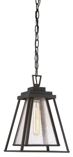 Outdoor Hanging Light in Dakota Bronze