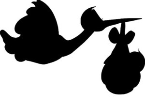 Cigogne Et Bebe Pochoir Reutilisable 10 X 6 5 In Environ 16 51 Cm Ebay