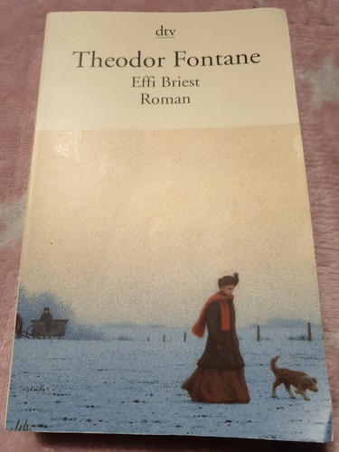 Roman Von Fontane Der Effi Briest: Roman von Fontane, Theodor | Buch | 9783423124997 | eBay