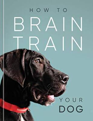 How to Brain Train Your Dog - Hardcover - VERY GOOD