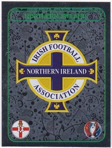 PANINI EURO 2016 ~ FIGURINA singola n. 240 sticker ~ scudetto shiny Irlanda Nord