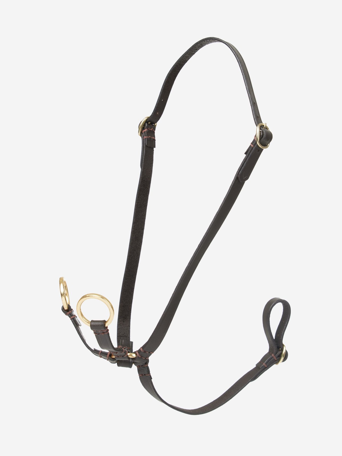 Lemieux Hobby Horse Running Martingale Brown Leather