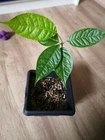 Bild 4 von 4