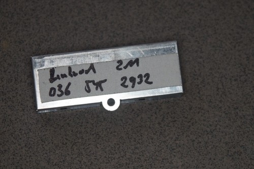 Mercedes W211 W209 W219  Lenkradsteuergerät   A0365452932