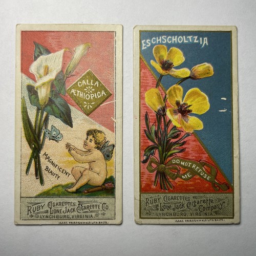 1888 LONE JACK CIGARETTE CO. LANGUAGE OF FLOWERS (N366) LOT OF 2 CARDS
