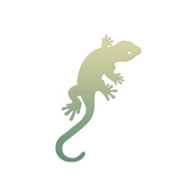 Gecko Lizard Anole - Vinyl Decal Sticker - Multiple Patterns & Sizes - ebn435